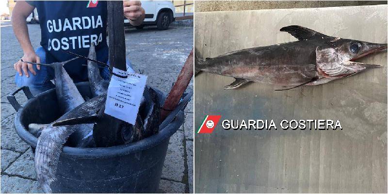 Catania-pesce-sequestrato.jpg