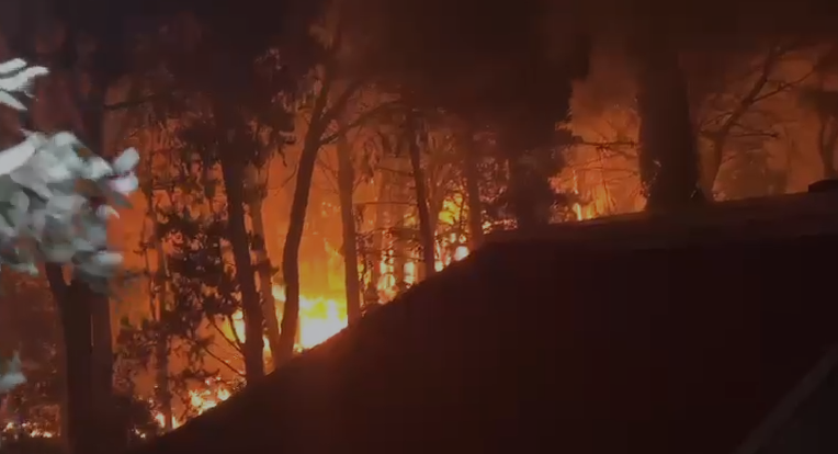 Incendio-nel-Palermitano.png