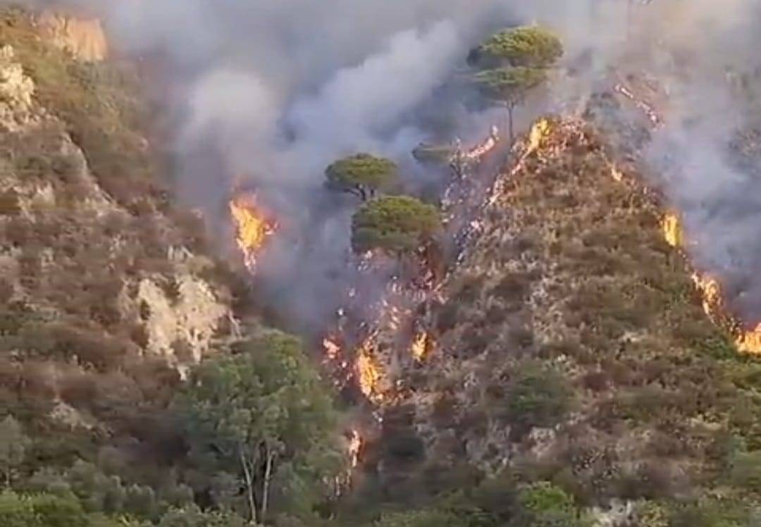 Messina-incendi.jpg