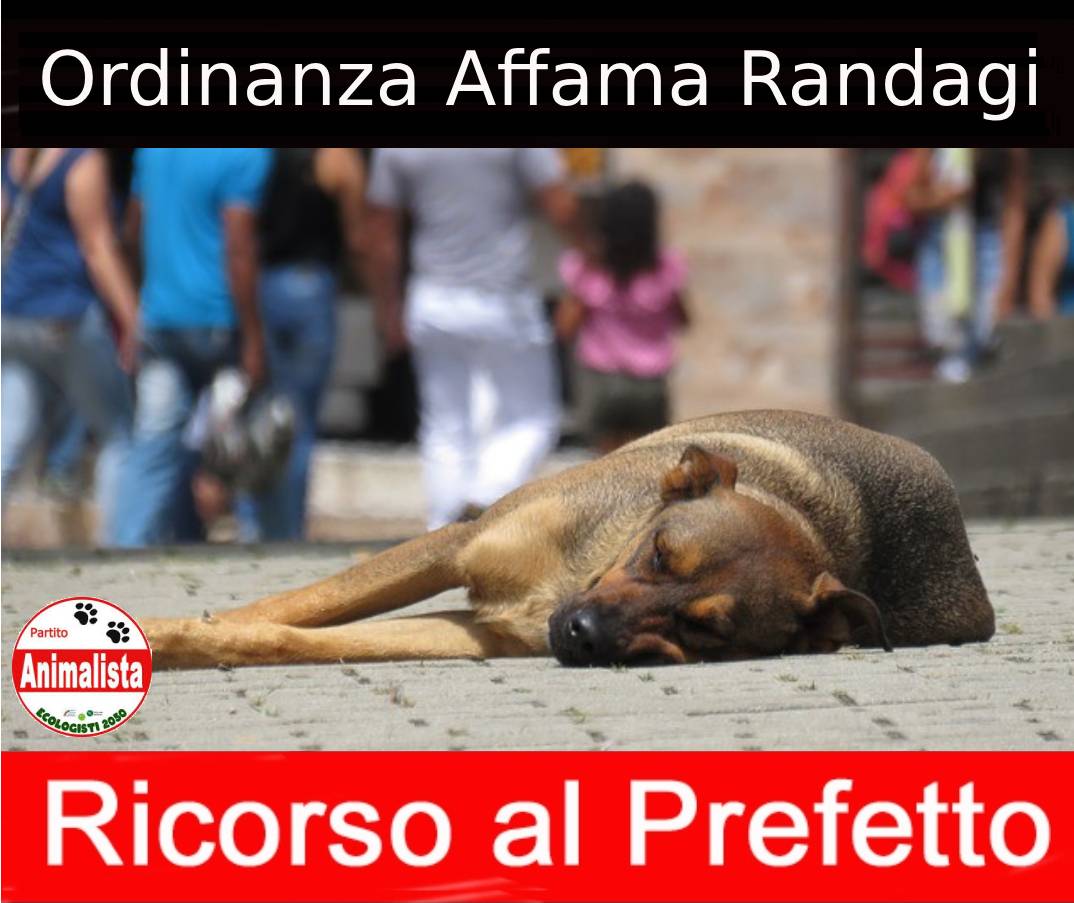 Partito_Animalista_Italiano_contro_ordinanza_affama_Randagi.jpg