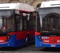autobus-1.jpg